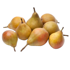 Noordertrots Gieser Wildeman stoofperen